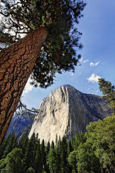 California, Yosemite View of El Capitan landmark
